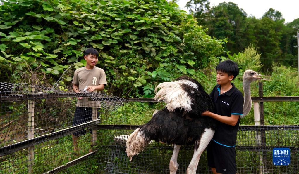 捕鱼达人深海狩猎单机